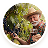 Visites de vignobles